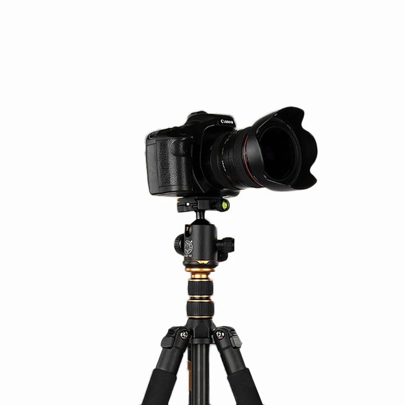 EACHSHOT QZSD Q666C Tripod With Q-02 360 Degree Swivel Fluid Head