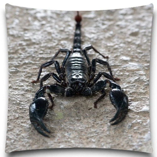 Housse De Coussin Carree En Araignee De Scorpion Noir Taie D Oreiller Bleu Jaune Pour La Maison La Voiture Decoration De Canape 16 18 Pouces Aliexpress