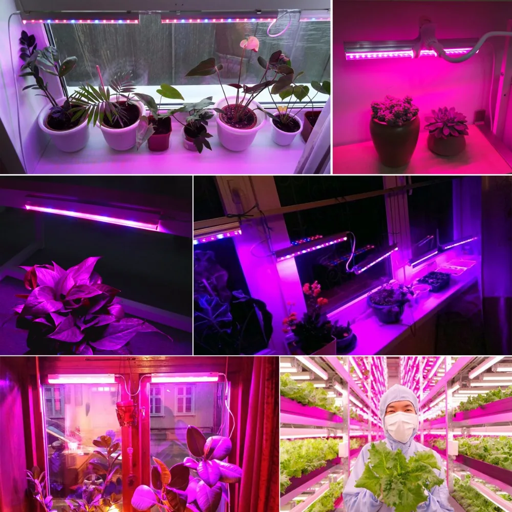 5 W 10 W 15 W 20 W 25 W светодиодный Grow Light для 110 v 220 v T5 трубка светодиодный Фито лампы для выращивания полного спектра Гидропонные завод разъема