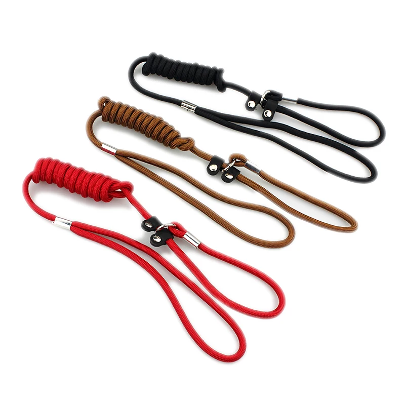 Dog-Leashes-For-Small-Dogs-Nylon-Puppy-Leashes-Chihuahua-Pet-Training-Leads-Collar-For-Dogs-Cats (2)