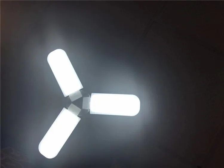 10933184480_764893938