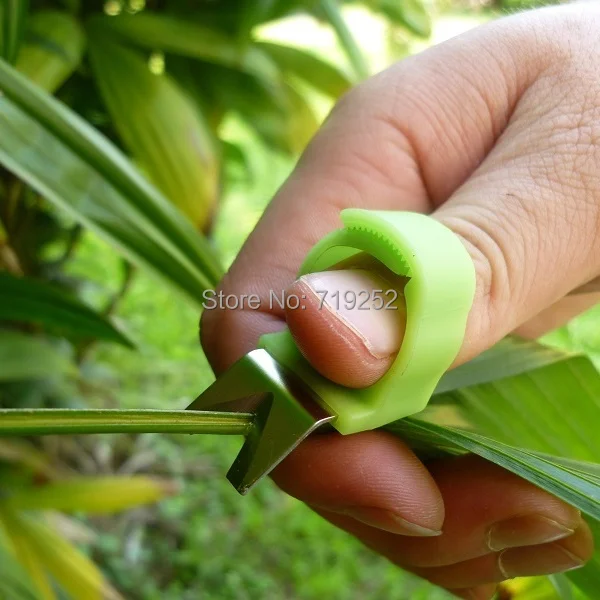 V Model Good Quality Tomato Cucumber Grape Orange Fruit Picking Blade Tool Ring Pick Up Melon 