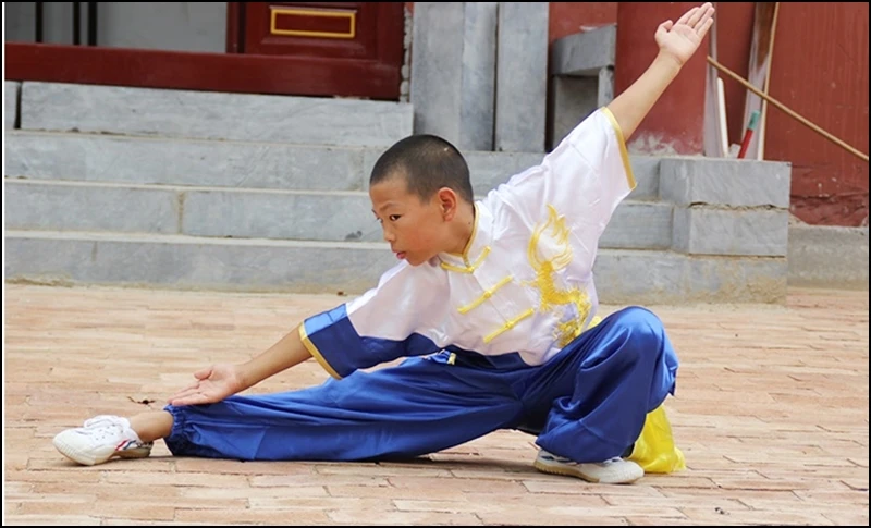 Wushu одежда для детей кунг-фу Униформа детская TA404