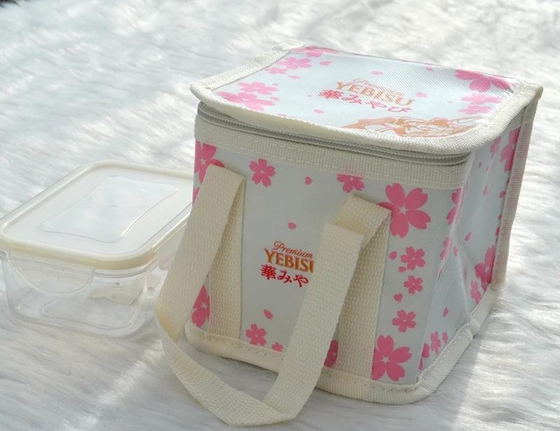 

3L small eco friendly foldable cooler bag mini cool ice pack picnic lunch box thermal square insulated handbag for food milk