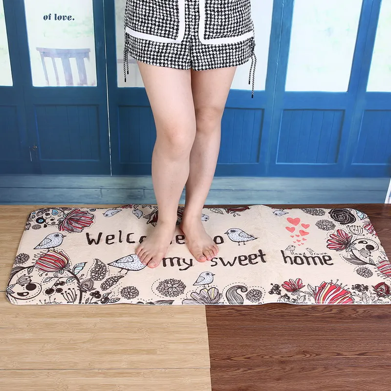 Hallway Welcome Floor Mats Animal Cute Cat Print Bathroom Kitchen Carpet