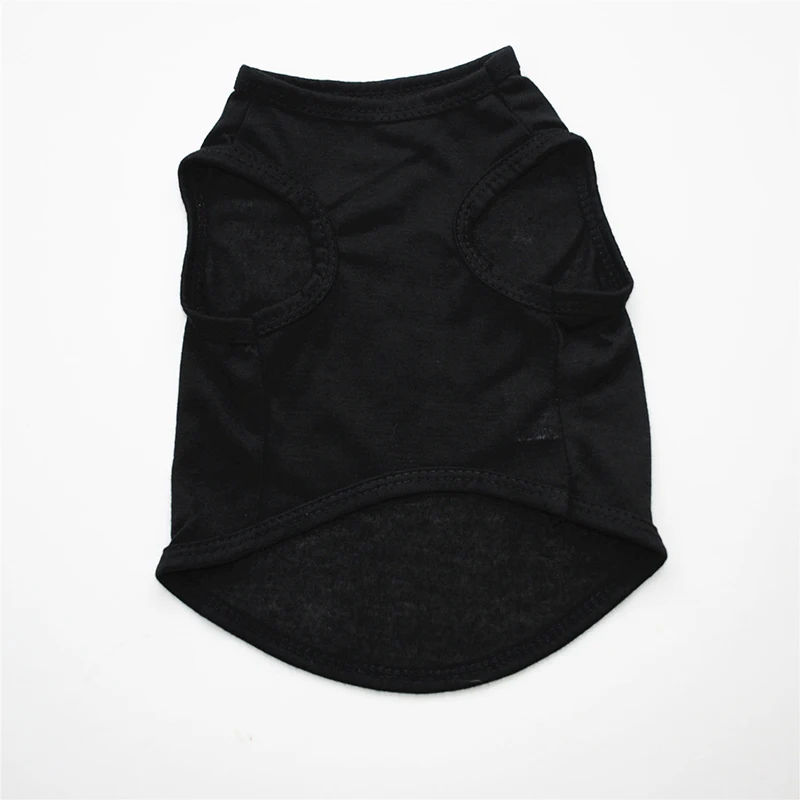 9068599513_361259826