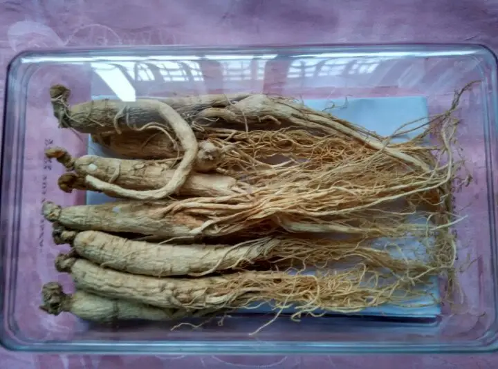 

100g dried Root 6 years Changbai Mountain Panax Vacuum Packing enhance immunity herb heath Ginseng