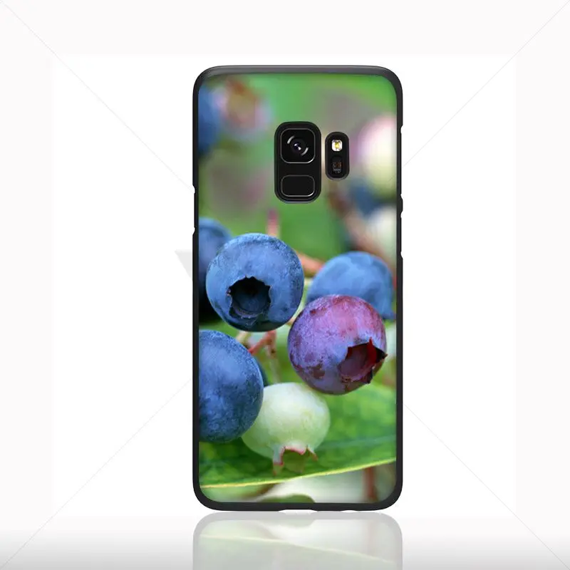 blueberry cherry summer fruit