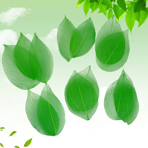 QQ20190322161701