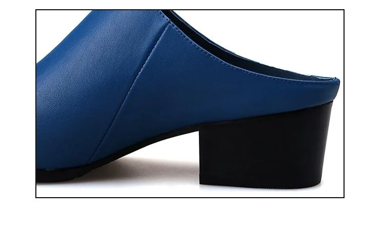 36020170727183452578