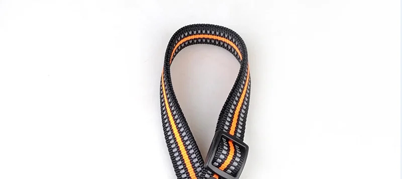 Reflective Seat Belt