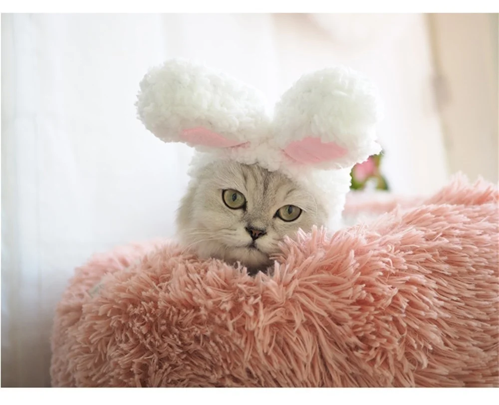 Crazyclown смешная Собачка Кошка костюм капитана теплый кролик шляпа новогодние вечерние рождественские аксессуары для косплея реквизит для фото головной убор