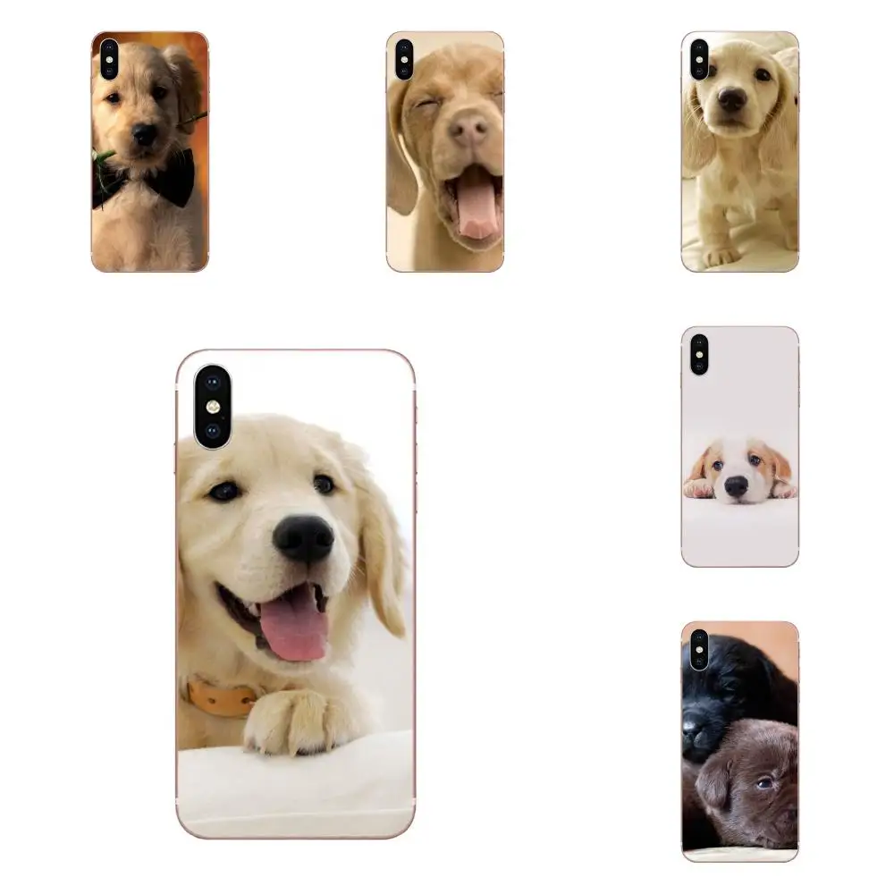 Coque Shell милая собака Золотой Лабрадор ретривер для huawei P7 P8 P9 P10 P20 P30 Lite Mini Plus Pro 2017 2018