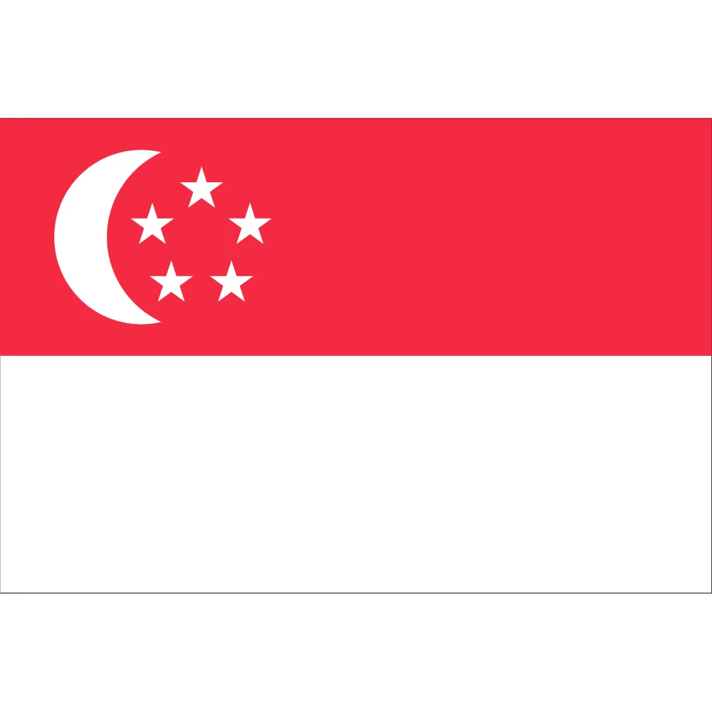 

15*21cm 90*150cm 60*90cm 15*21cm Flag Hanging Banner Singapore National Flag