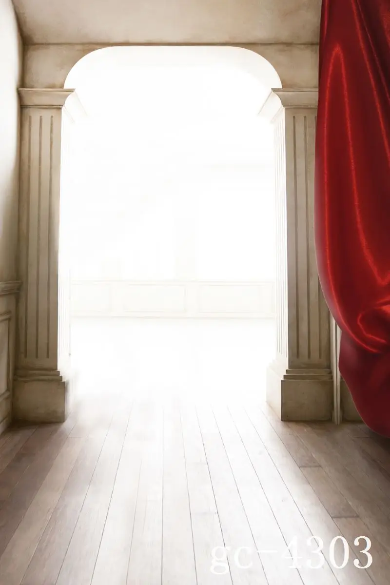 

3*5M Art Cloth Custom Photography Backdrops Prop Indoor theme Studio Background GC-4303