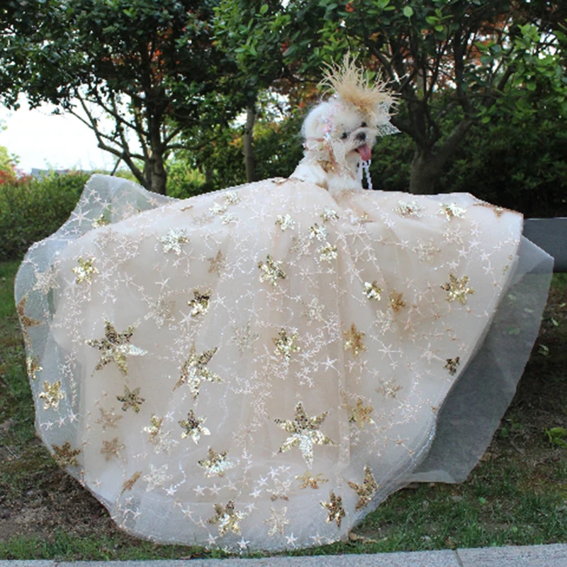 Pet Dog Dress Luxury Trailing Princess Wedding Dress For Small Dogs Golden Embroidery Puppy Clothes Lace Dress Chihuahua Poodle