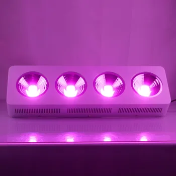

populargrow Factory Promotion Hot sale 800w COB Led Grow Light with 100% quality warranty for all stages of plants