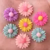 New 20pcs Resin 20mm Gold Powder Daisy Flatback Stone Scrapbooks Wedding DIY R89*2 ► Photo 1/6