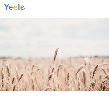 

Yeele Wall Decor Photocall Bokeh Wheat Ins Painting Photography Backdrops Personalized Photographic Backgrounds For Photo Studio