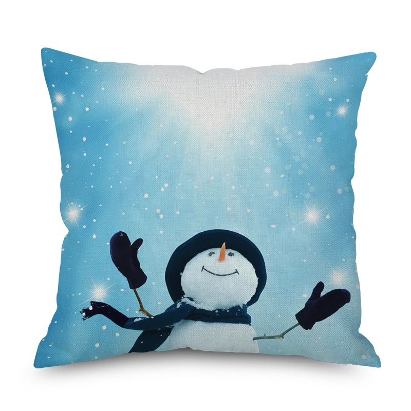 Pillow case-1
