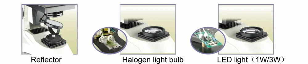 PH50 illumination