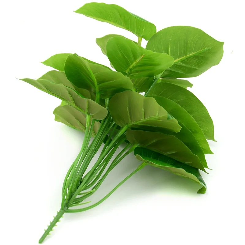 HTB1nUdeXQKWBuNjy1zjq6AOypXa5