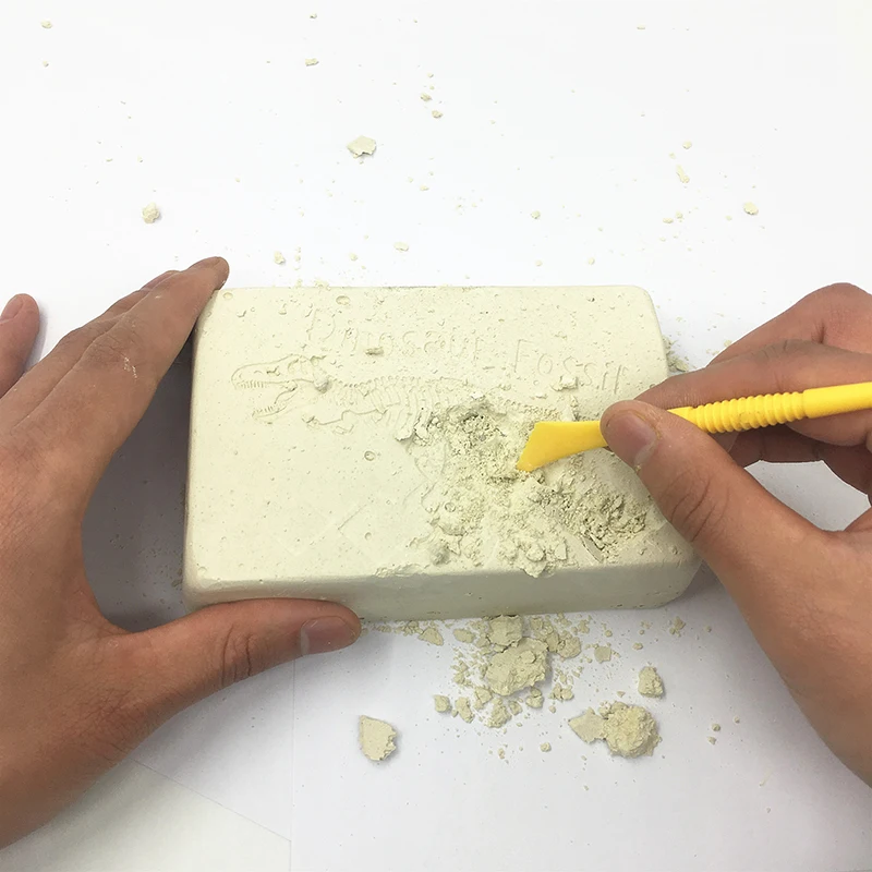 

Archaeology Toys Science gift Dinosaur Dig Kits for Toddler