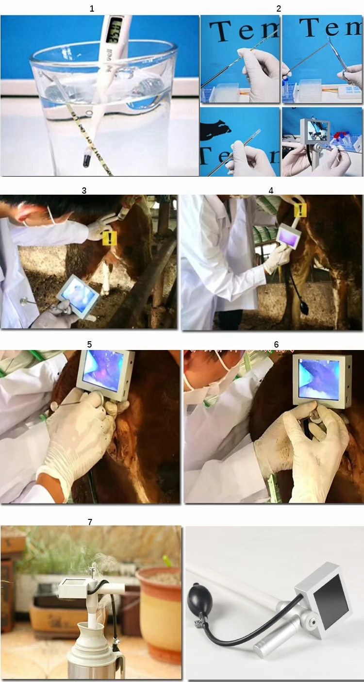 Корова визуальный эндоскоп спермы AI Пистолет искусственное осеменение устройство для разведения коровы искусственные инструменты для беременности скот фермы Лидер продаж