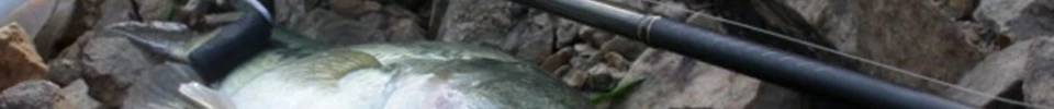 ENG_51