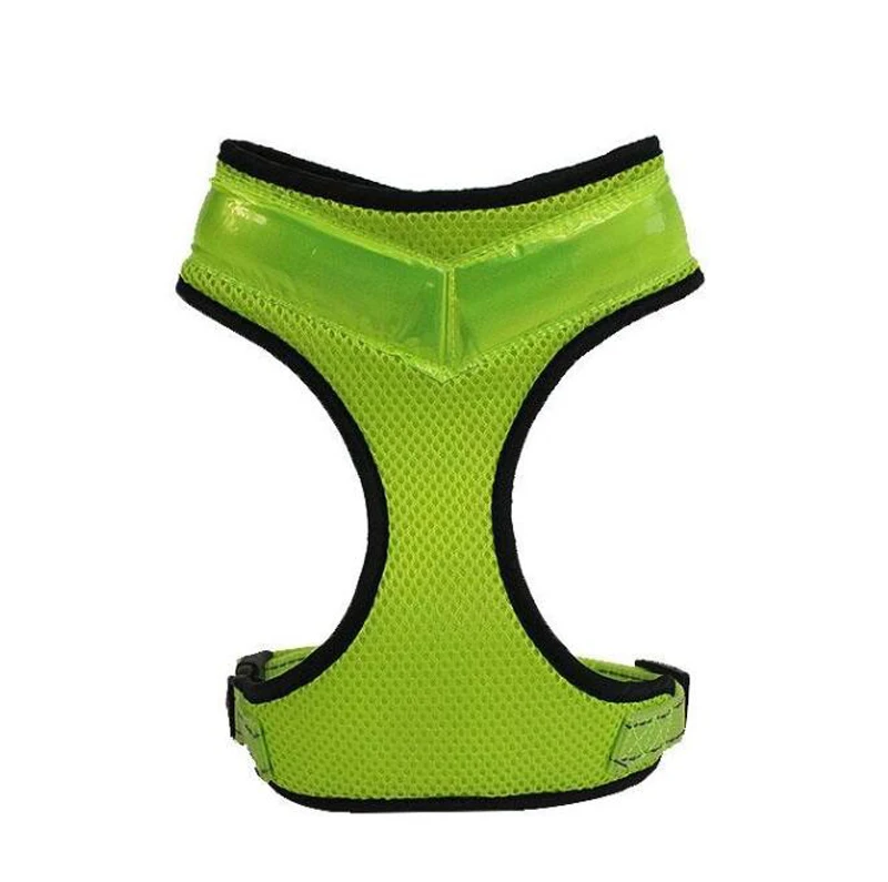 dog supplies  (10)