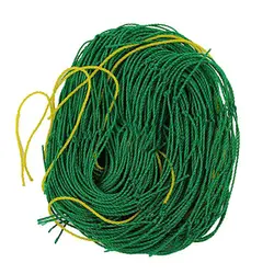 1,8x1,8 м восхождение фасоль сетей Новый расти Забор Зеленый Нейлон шпалеры плетения Поддержка