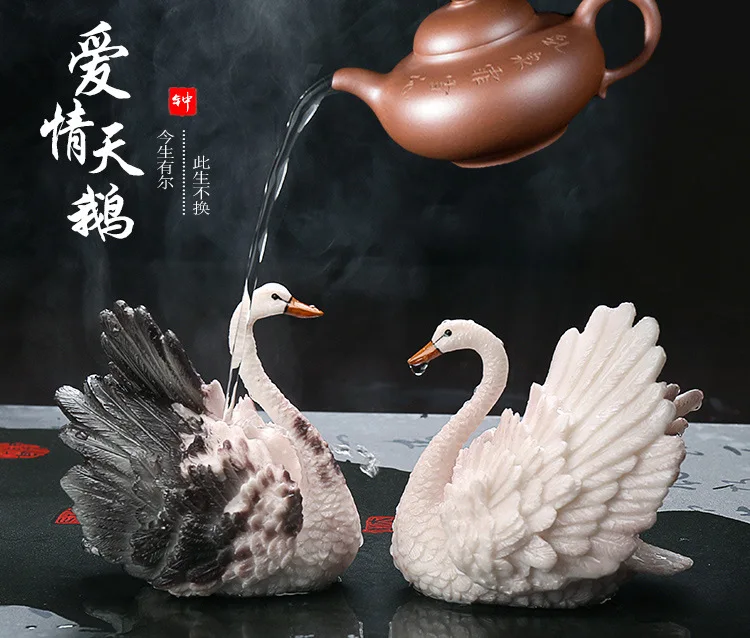 爱情天鹅_01