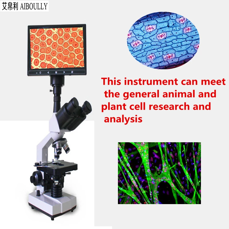 Fghgf Biological Microscope 1000x Times 8 Inch Display Animal And Plant Cell Medical Hygiene Animal Reproduction Sperm Analysis Microscopes Aliexpress