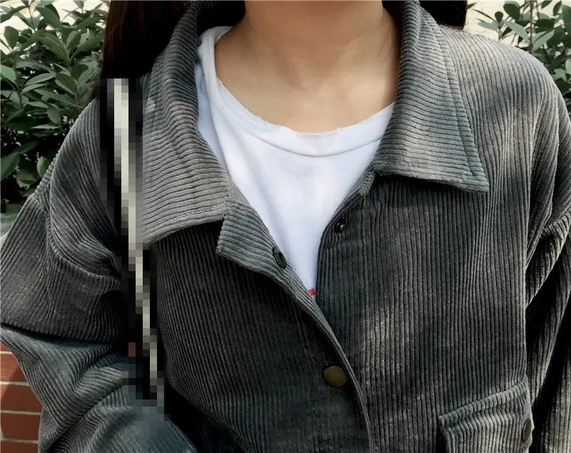 HTB1WxLia50TMKJjSZFNq6y_1FXaB