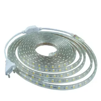 

220V LED Strip Light 5050 LED Ribbon Waterproof IP67 Bright Than LED Tape White Warm White Red Green Blue