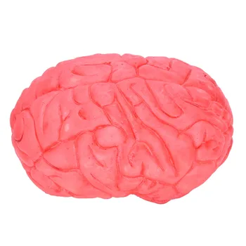 

Prop Rubber Horror Fake Scary Human Brain Haunted House Organ Body Part Halloween Decoration Horror Prop Decor Gag Toys