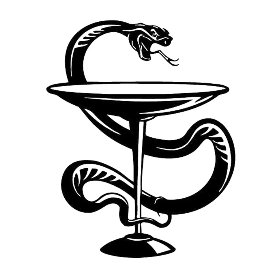 Car Sticker Medicine Symbol Snake Car Sticker Motorcycle Vinyl Decal BlackSilve 13.7cm17.2cm  (2)