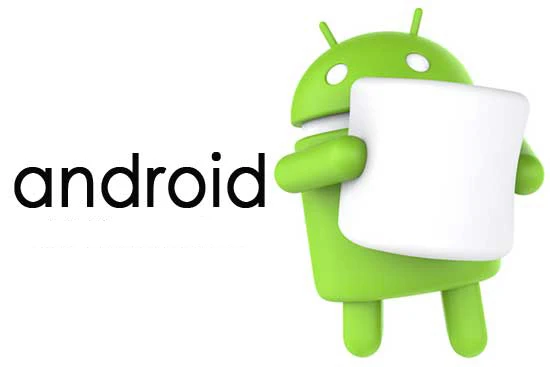 HTB1EEf_PFXXXXadXXXXq6xXFXXX3