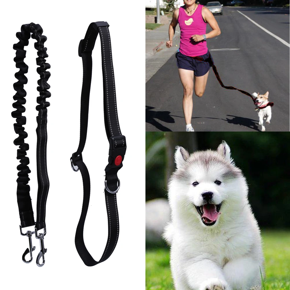 Reflective Pet Dog Traction Rope Training Elastic Dog Collar Belt Slip