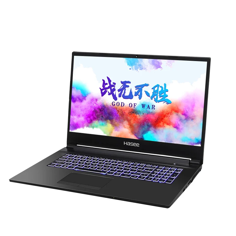 Ноутбук hasee G7M-CT7NK для игр(Intel i7-9750H+ GTX1650 4GGDDR5/16G ram/256G SSD+ 1T HDD/DOS/17,3 ''IPS 72% NTSC - Цвет: Черный