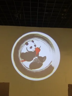 TB2LZf.aw6B11BjSspoXXcwVXXa_!!0-rate.jpg_.webp_400x400