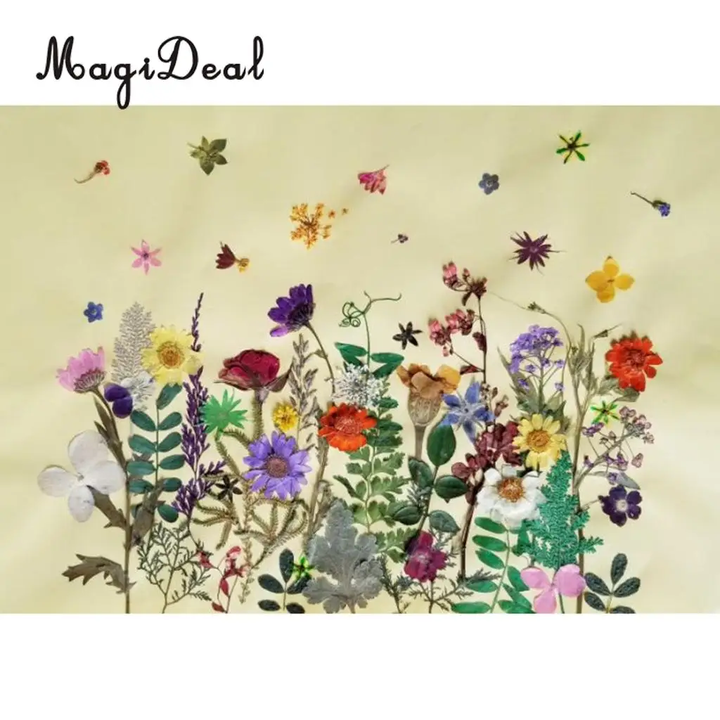 6 Pieces Pressed Natural Real Dried Flowers Sunflower for DIY Resin Ornament Craft Christmas Xmas Card Making Decoration