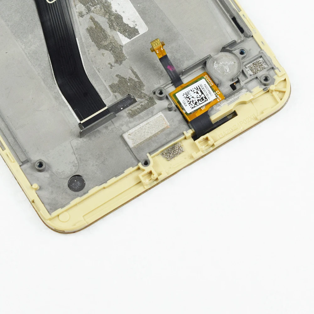 Skup Oryginalne 5.5 \