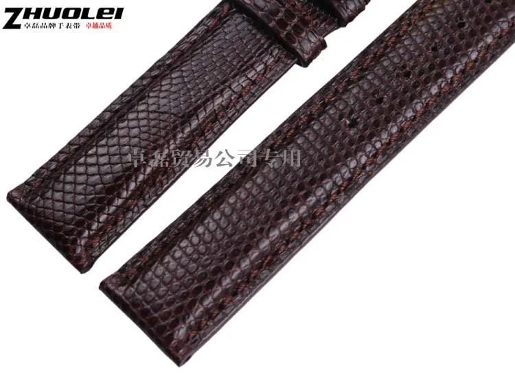 T2Ze5KXbpbXXXXXXXX_!!691830094