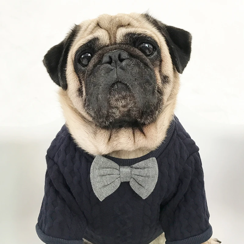 

Bigeyedog French Bulldog Clothes Winter Pug Clothing Dog Sweater Knit Apparel Pet Outfit Schnauzer Frenchie Coat Garment