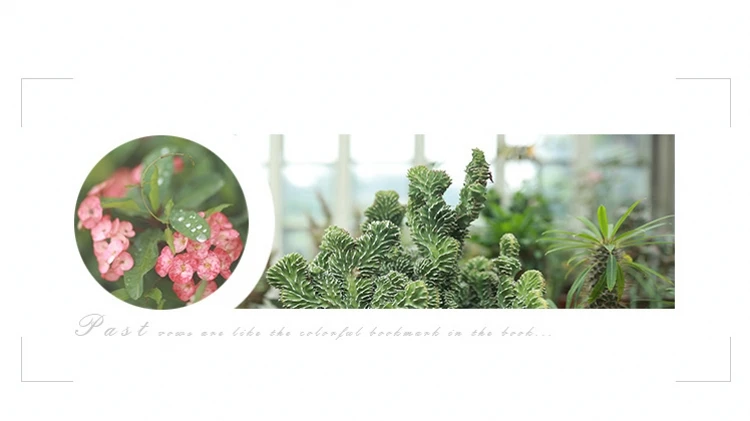 10_conew1