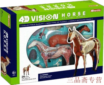 

horse model 3d Vision horse assembled animal model horse anatomical model