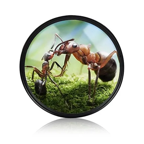 HTB1zEqgJVXXXXc9XXXXq6xXFXXXV