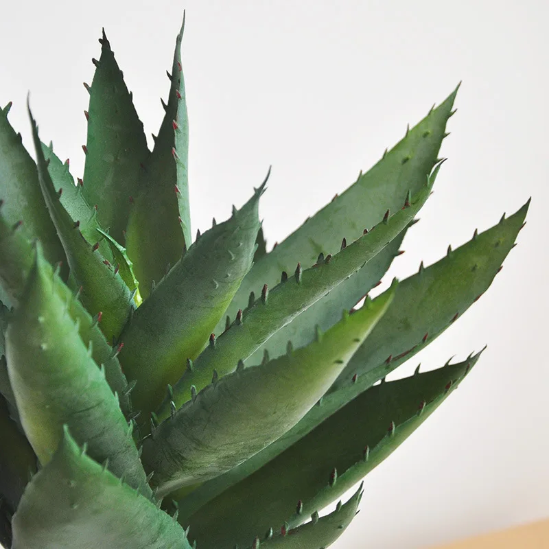 

Large Plastic Artificial Succulent Plants Aloe Tree Simulation Fake Plant