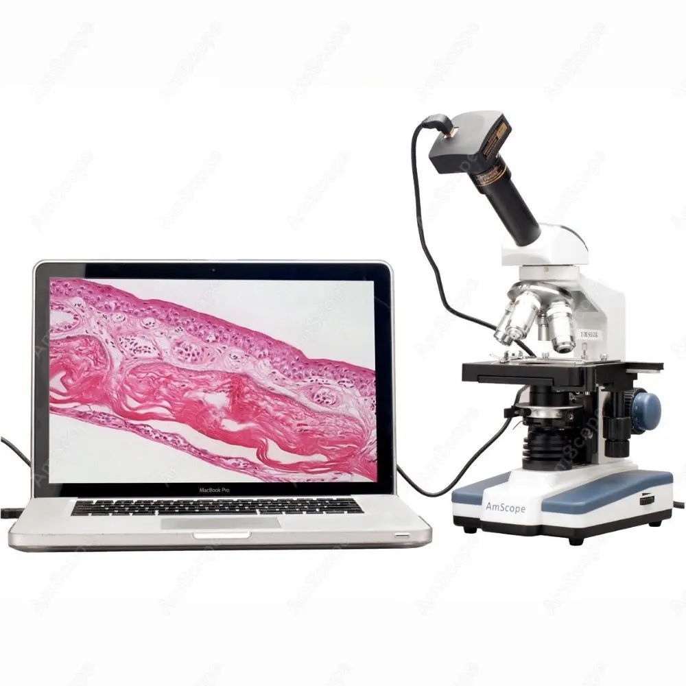 M150c-i 40x-1000x Microscopio Compuesto AmScope 40X-1000X Para Estudiantes - Monocular, LED, Marco De Metal | M150C-EUL Binocular Compound Microscope